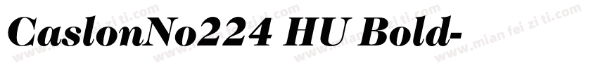 CaslonNo224 HU Bold字体转换